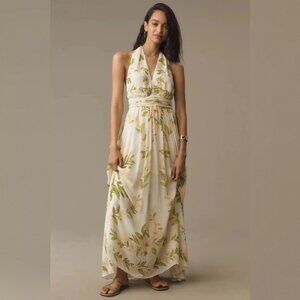 Anthropologie Farm Rio V-Neck Floral Chiffon Maxi Dress Sz Small